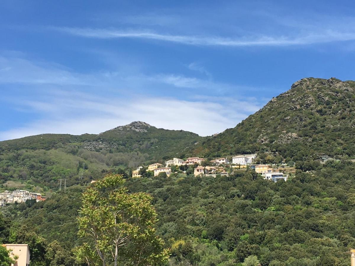Charmant T2 Hauteurs De Bastia Bastia  Exteriör bild
